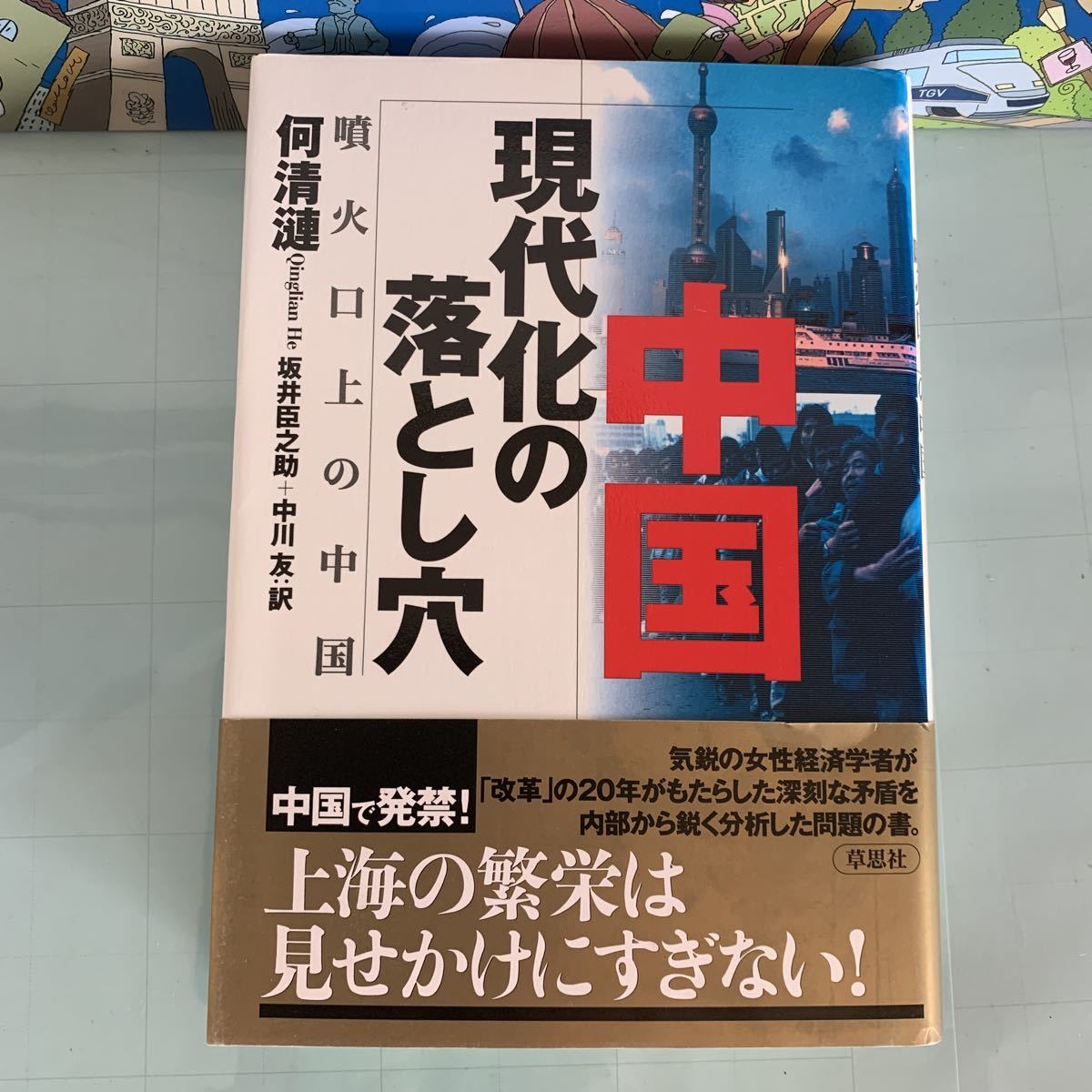 中国現代化の落とし穴―噴火口上の中国 何 清漣 (著), 坂井 臣之助 , 中川 友 (翻訳)　2002/12/16 第4刷発行ハードカバー製本_画像1