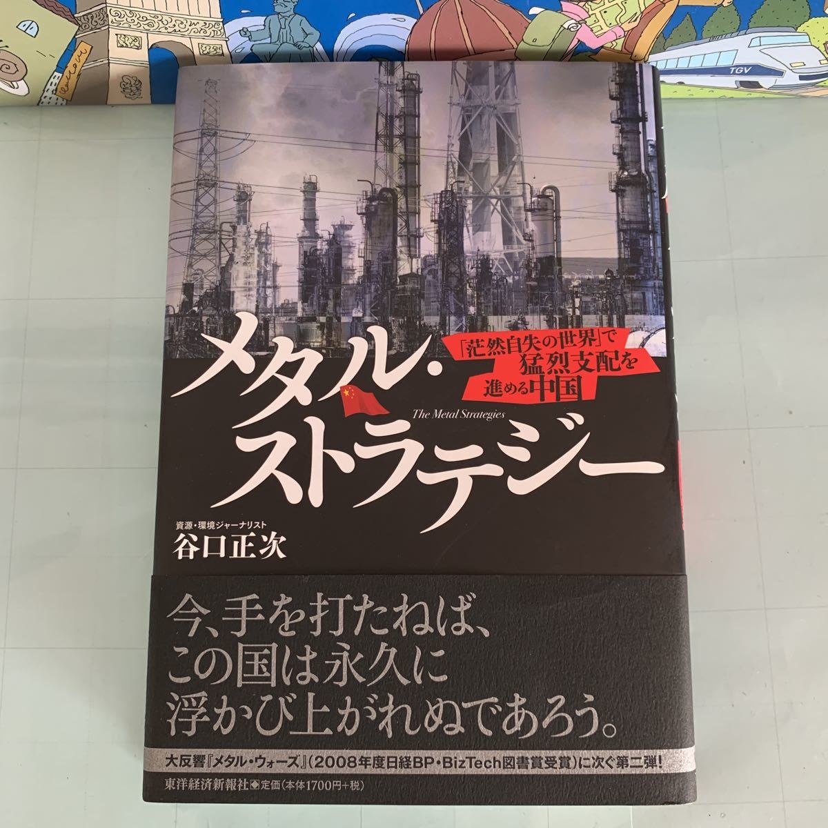 メタル・ストラテジー 単行本 2009/6/4 谷口 正次 (著) ハードカバー製本_画像1