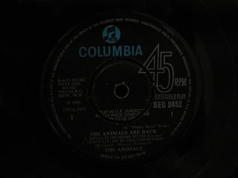 90%OFF】 ANIMALS Same UK Blue Columbia Mono オリジナル