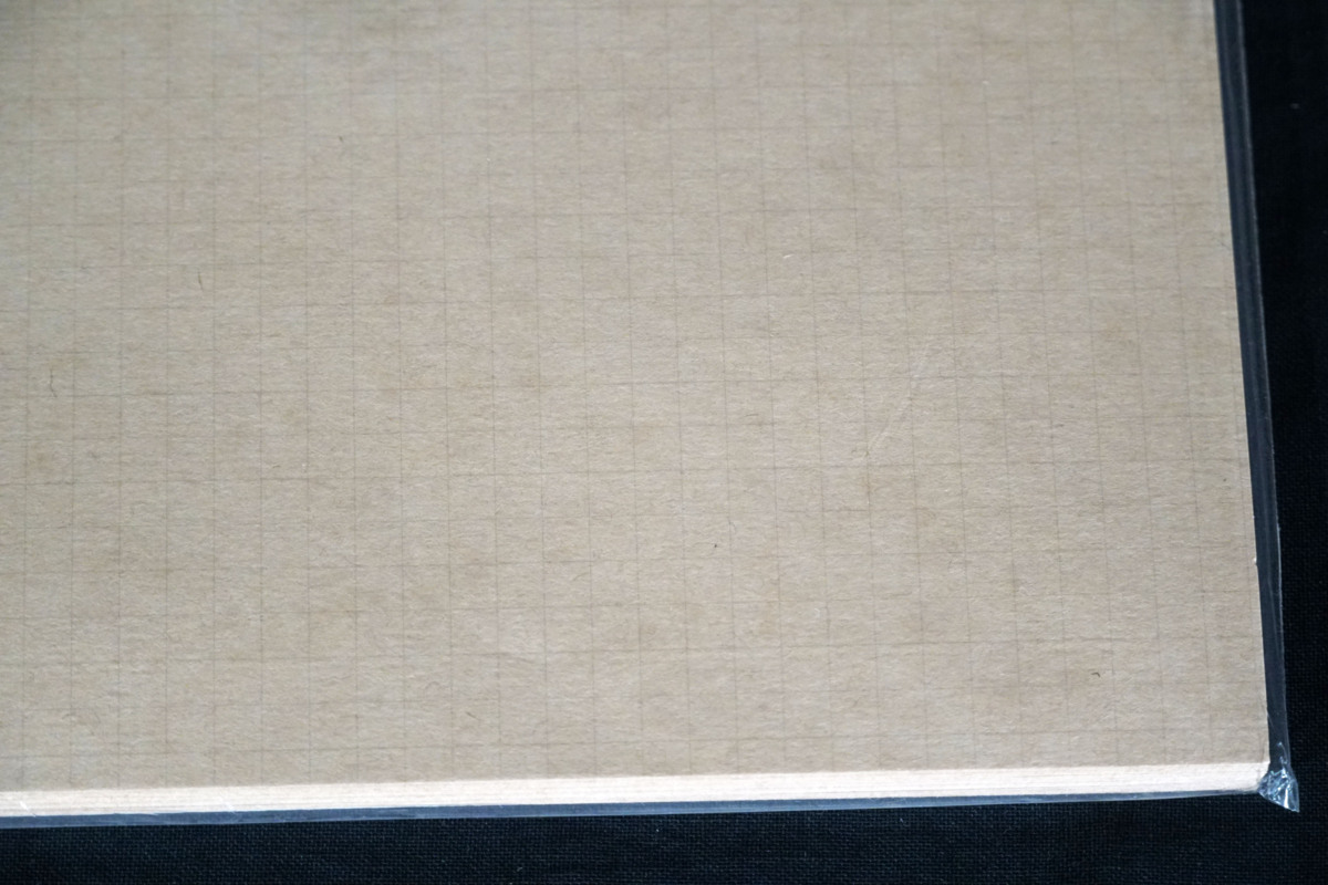 [ Fukuoka ]AR1593* long-term storage * craft paper (A3)975 sheets insertion *SAKAE Technica ru paper * Special thickness .5mm eyes *120g/.* Brown * whole surface person eye 