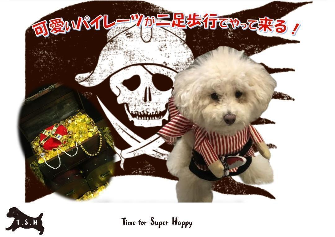 T.S.H 犬用海賊コスチューム 海賊コスプレ パイレーツ (Lサイズ）_画像1