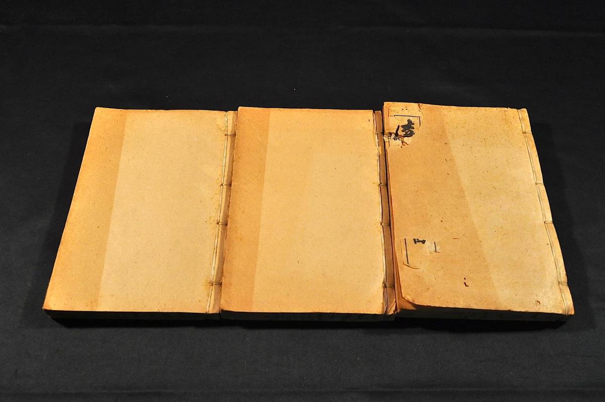 李氏東垣十書 東垣先生此事難知・格致餘論他 光緒七年序 - 和書 李氏東垣十書 東垣先生此事難知・格致餘論他 光緒七年序 - 和書