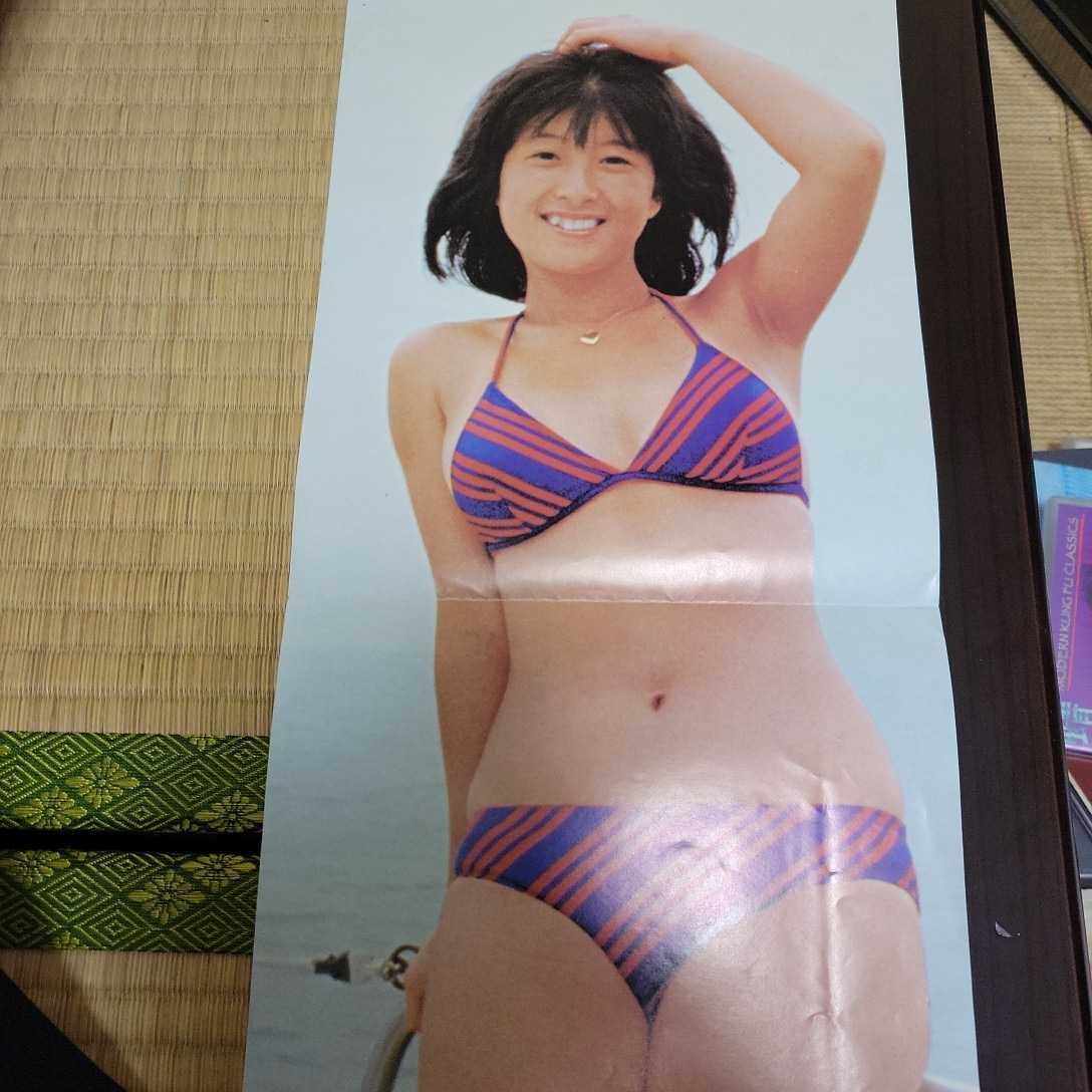 河合奈保子 水着ビキニ ポスター 河合奈保子 水着ビキニ ポスター