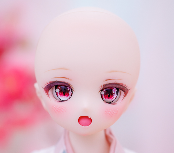 ヤフオク! - *ロンシュカ* DDH-01 カスタムヘッド セミホワイト...