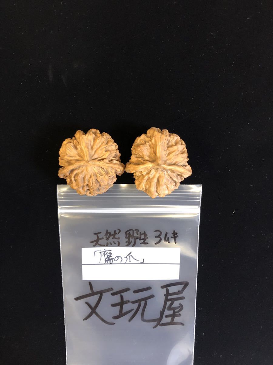44mm遊び胡桃 希少品種 天然3ムキ鷹の爪 コレクション 趣味 健康グッズ