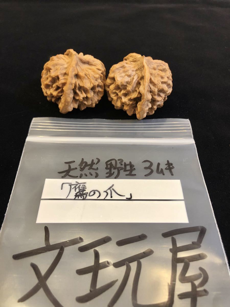 44mm遊び胡桃 希少品種 天然3ムキ鷹の爪 コレクション 趣味 健康グッズ
