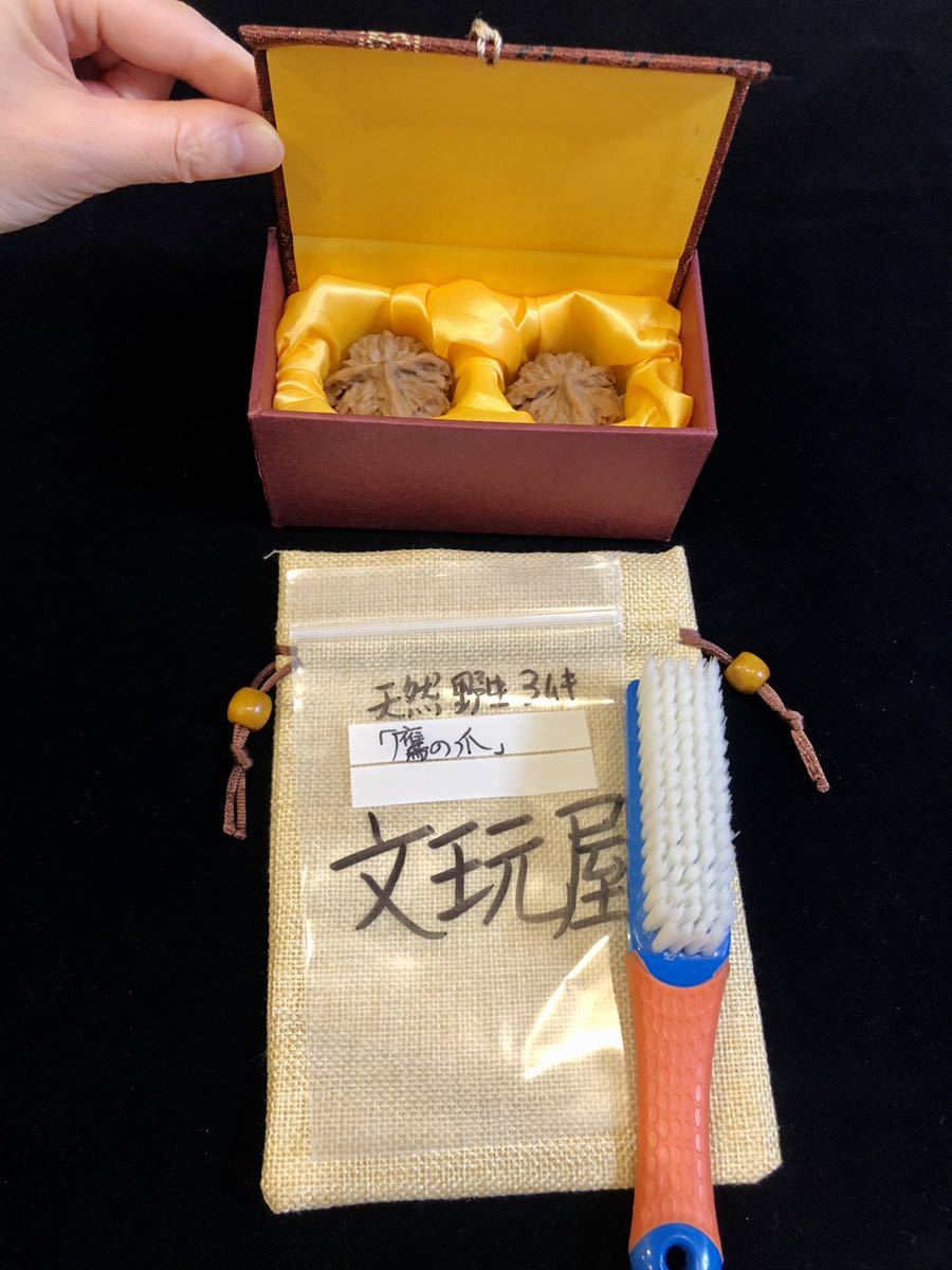 44mm遊び胡桃 希少品種 天然3ムキ鷹の爪 コレクション 趣味 健康グッズ