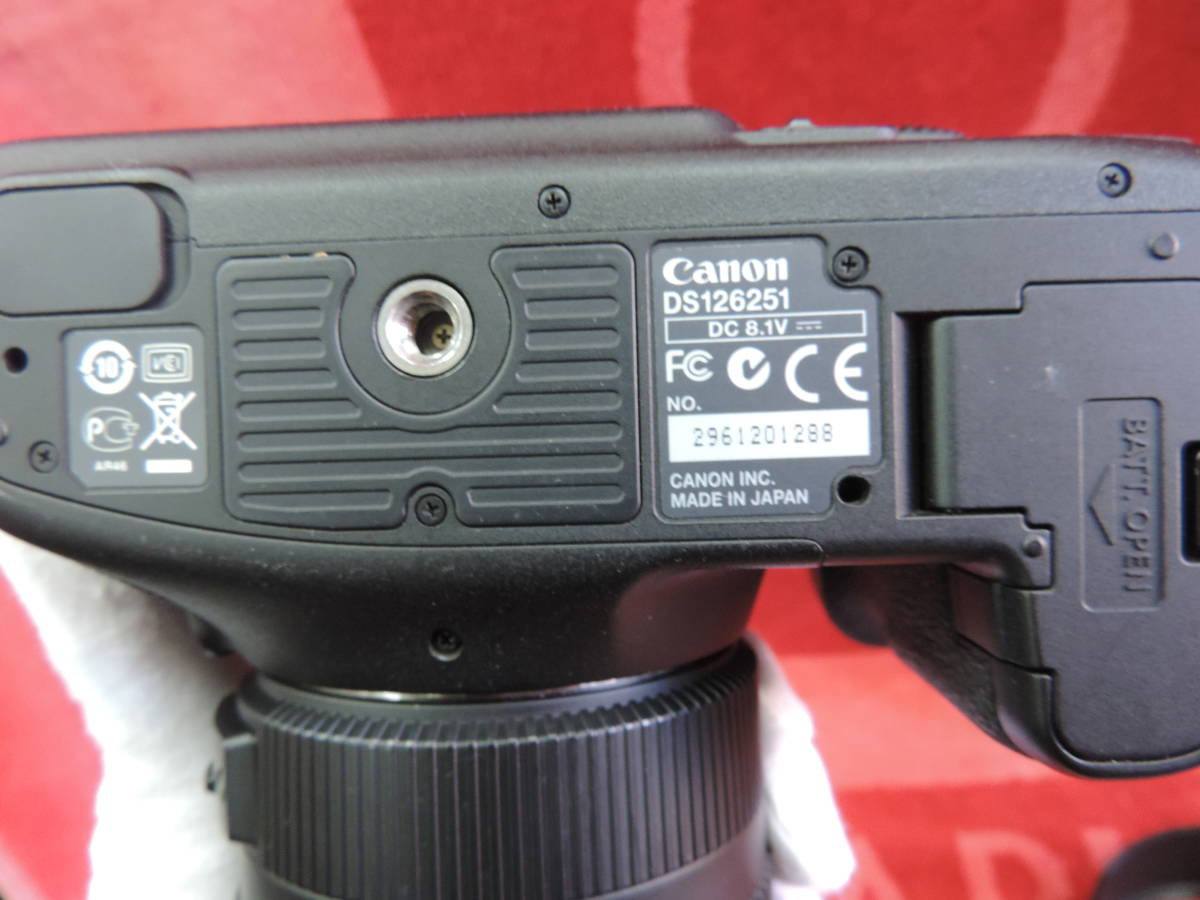 Canon キヤノン EOS 7D シグマ 17-50㎜ EX DC HSM F2.8 | monsterdog