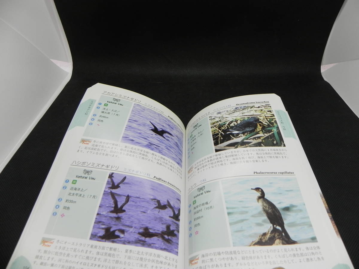 北海道野鳥ハンドブック　鈴木曻一　ほおずき書籍　LYO-8.220325_画像6