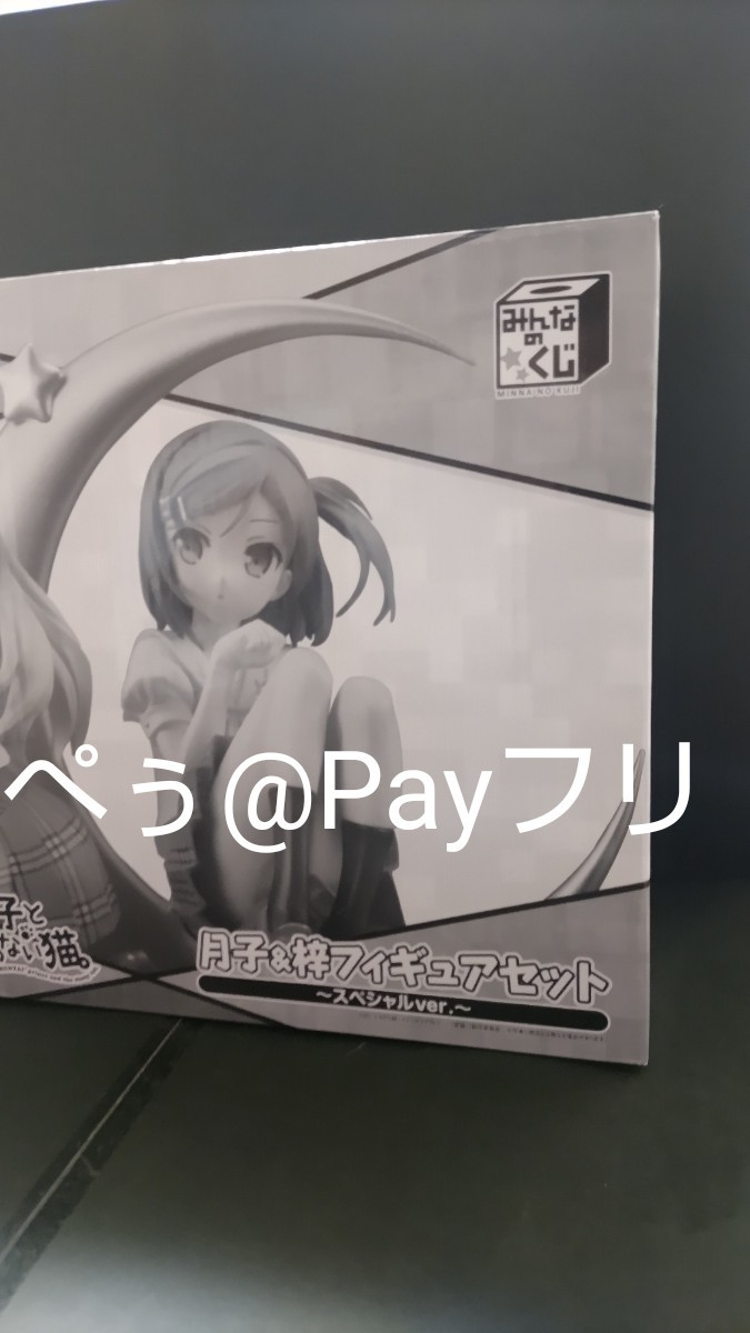 変態王子と笑わない猫 ダブルゲット賞 フィギュア 筒隠月子 小豆梓
