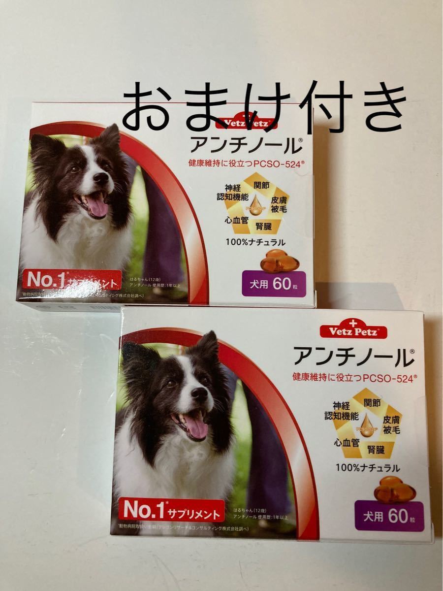 アンチノール 犬用 60粒 2箱〈おまけ付き〉 完璧 7380円