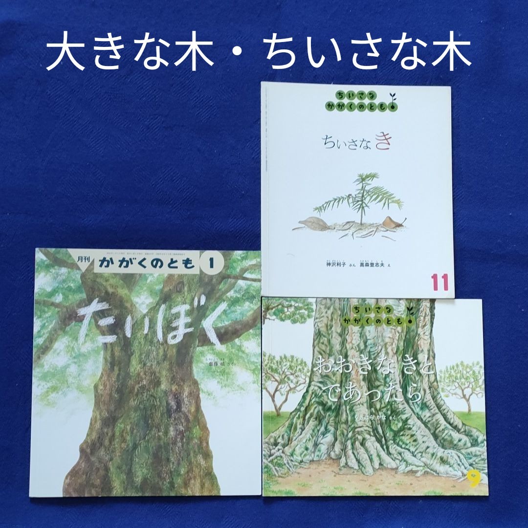 かがくのとも　おおきなき　ちいさなき　3冊セット　 福音館