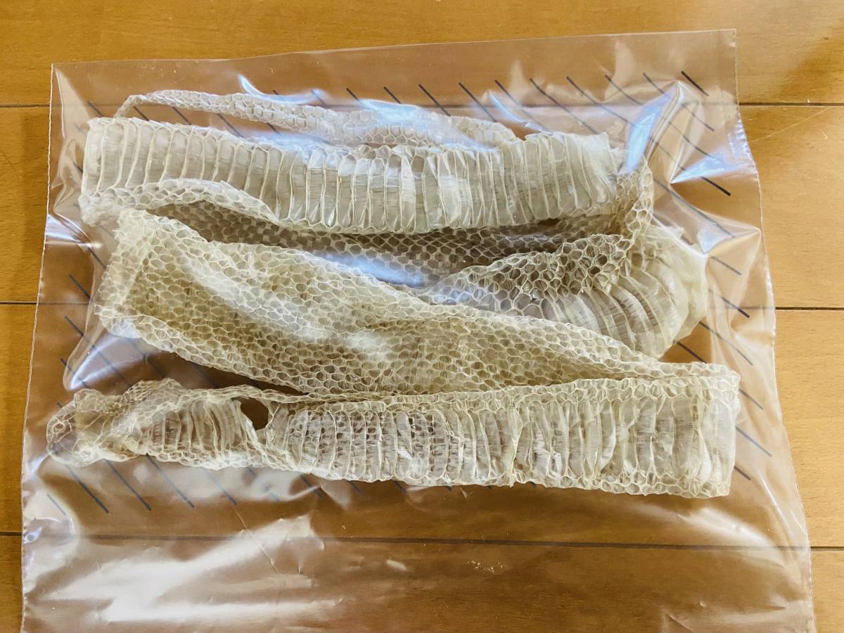 蛇の抜け殻 特大 121cm へび 脱皮 縁起物 金運アップ 御守り 安産の象徴 脱け殻 脱皮 科学 自然 売買されたオークション情報 Yahooの商品情報をアーカイブ公開 オークファン Aucfan Com 蛇の抜け殻 特大 121cm へび 脱皮 縁起物 金運アップ 御守り 安産の象徴 脱け殻 脱皮 科学 自然 売買されたオークション情報 Yahooの商品情報をアーカイブ公開 オークファン Aucfan Com