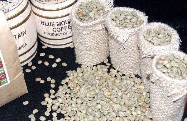 ◇特売品◇自家焙煎用◇生豆1kg◇ブルーマウンテンNO.1