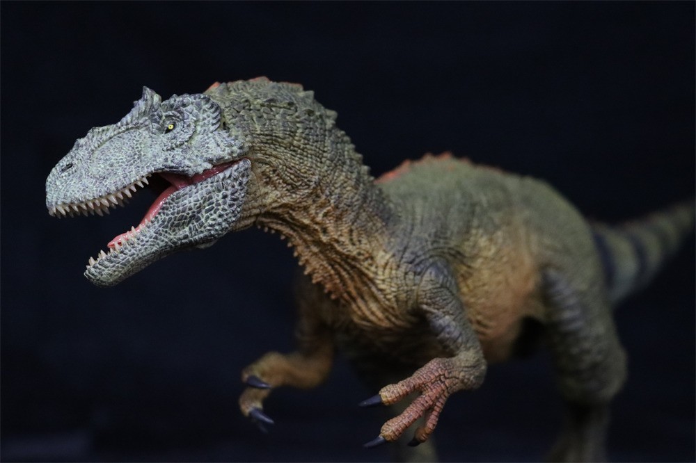 Rebor 1/35サイズ サウロファガナクス 異竜 アロサウルス科 恐竜 フィギュア プラモデル おもちゃ 模型 リアル PVC プレゼント ジャングル(フィギュア)|売買されたオークション情報、Yahoo!オークション(旧ヤフオク!) の商品情報をアーカイブ公開 - オークファン(aucfan Rebor 1/35サイズ サウロファガナクス 異竜 アロサウルス科 恐竜 フィギュア プラモデル おもちゃ 模型 リアル PVC プレゼント ジャングル(フィギュア)|売買されたオークション情報、Yahoo!オークション(旧ヤフオク!) の商品情報をアーカイブ公開 - オークファン(aucfan