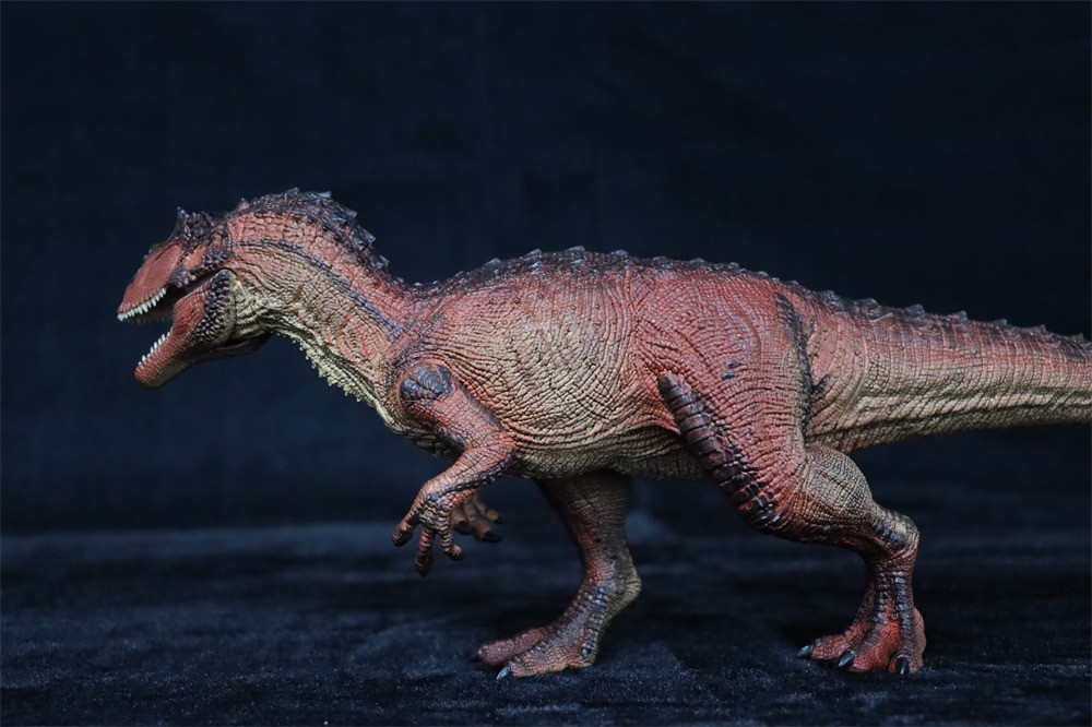 Rebor 1/35サイズ サウロファガナクス 異竜 アロサウルス科 恐竜 フィギュア プラモデル おもちゃ 模型 リアル PVC プレゼント 火山洞窟_画像6