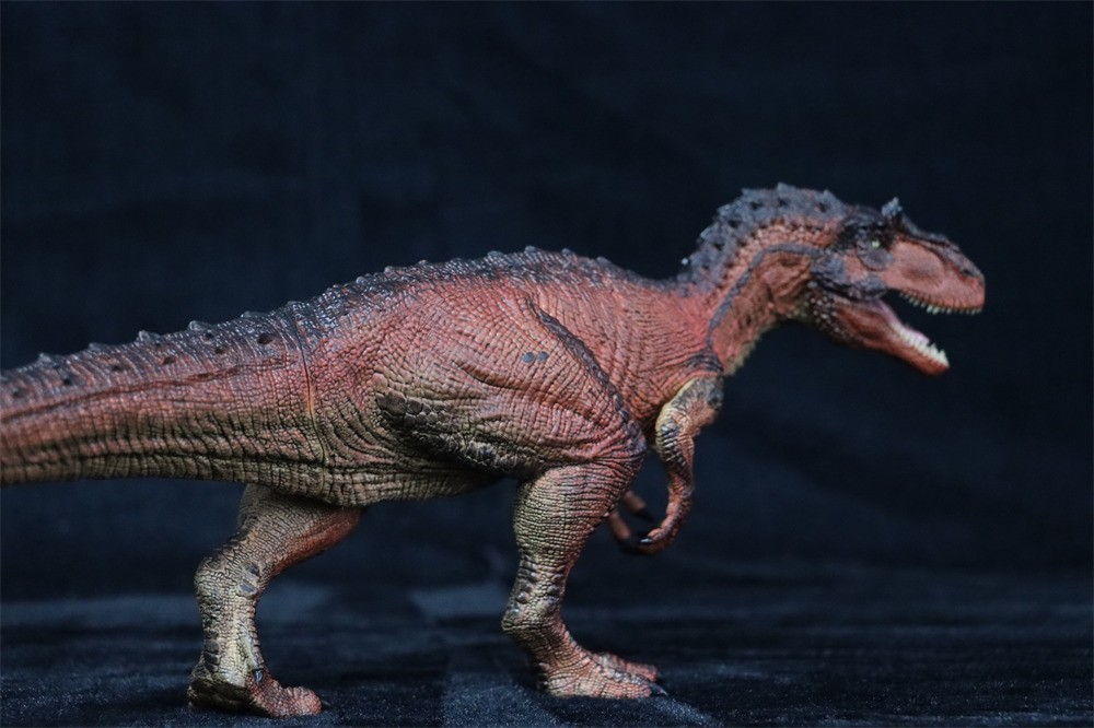 Rebor 1/35サイズ サウロファガナクス 異竜 アロサウルス科 恐竜 フィギュア プラモデル おもちゃ 模型 リアル PVC プレゼント 火山洞窟_画像9