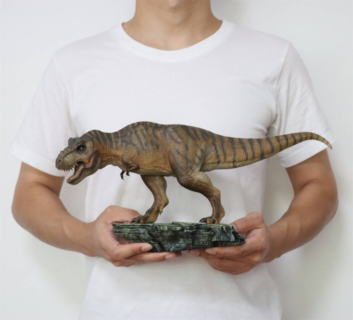 Nanmu 本心楠改 1/35 ティラノサウルス レックス 肉食 King 恐竜 