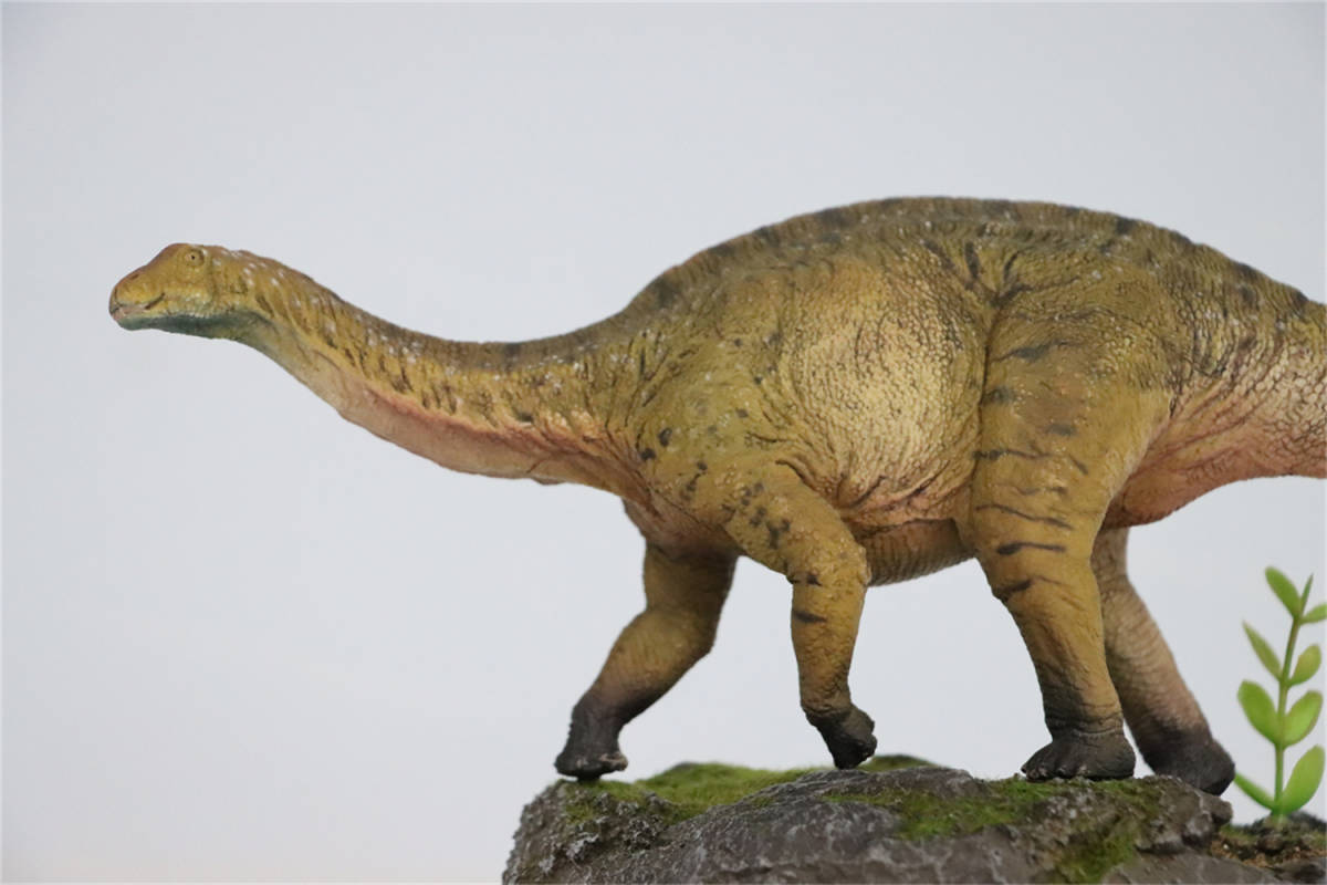 1/35 サイズ ディクラエオサウルス ディクレオサウルス 恐竜 リアル フィギュア PVC プラモデル おもちゃ プレゼント グリーン (台座付き)_画像2