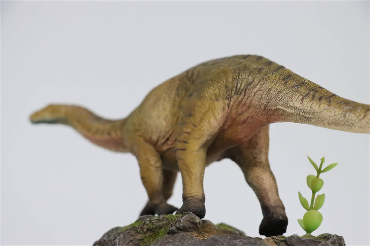 1/35 サイズ ディクラエオサウルス ディクレオサウルス 恐竜 リアル フィギュア PVC プラモデル おもちゃ プレゼント グリーン (台座付き)_画像10