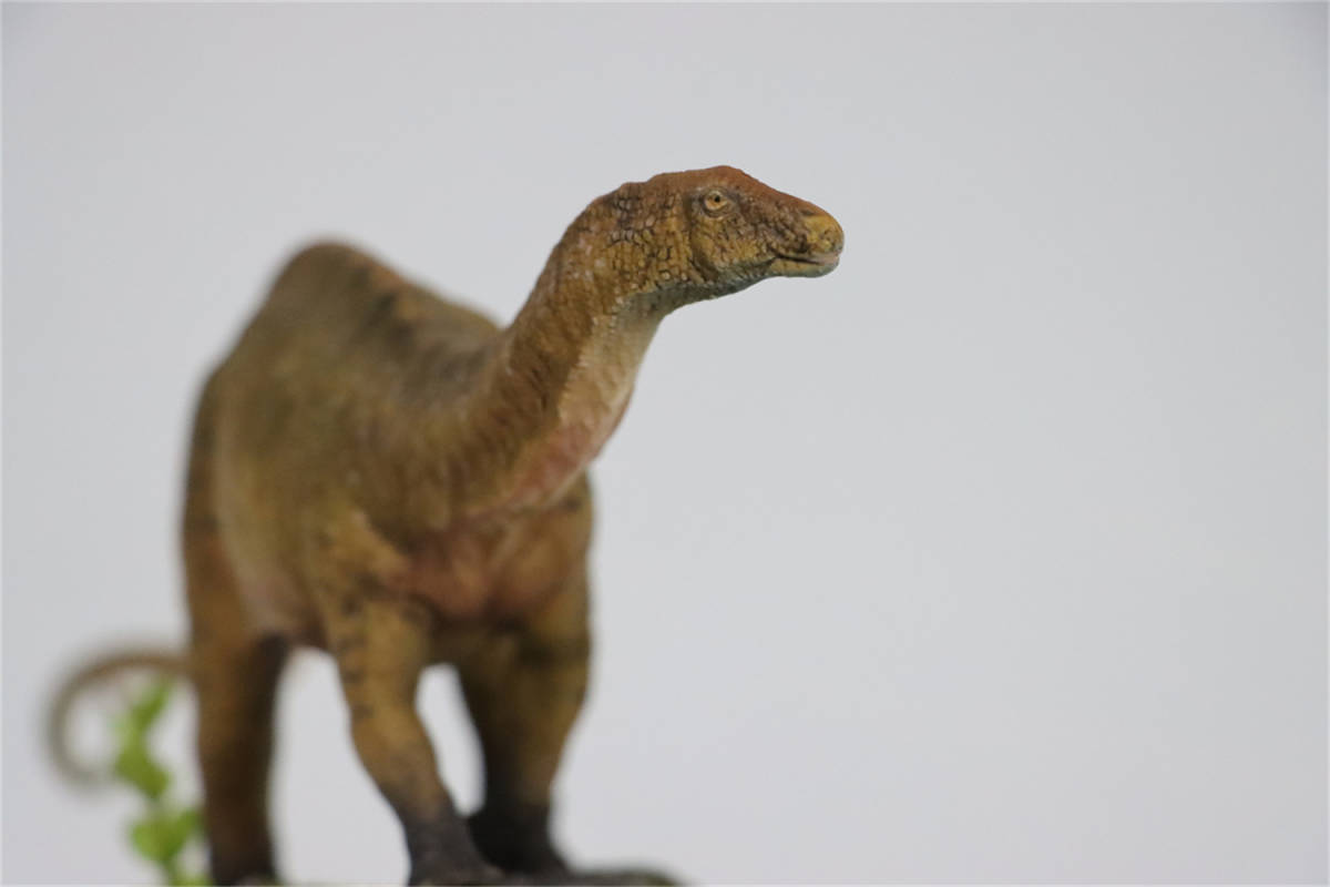 1/35 サイズ ディクラエオサウルス ディクレオサウルス 恐竜 リアル フィギュア PVC プラモデル おもちゃ プレゼント グリーン (台座付き)_画像8