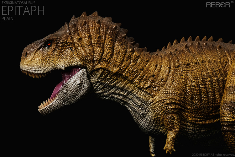 Rebor カルノタウルス 恐竜 エクリキシナトサウルス フィギュア プラモデル おもちゃ 模型 リアル 樹脂 プレゼント 41cm級 プレゼント_画像6