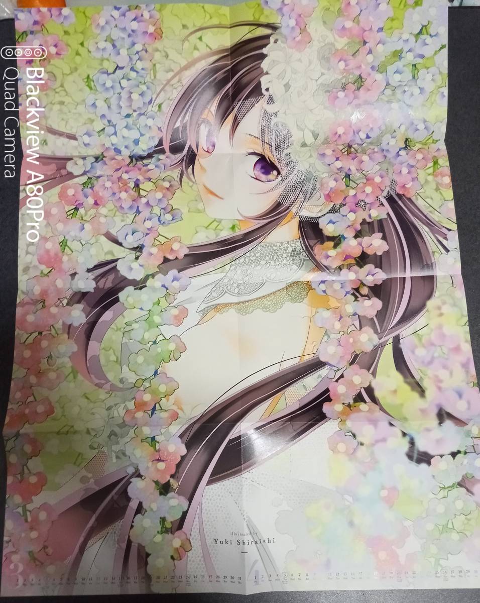 Sho-Comi2022-1号付録「くまがい杏子＆白石ユキ」B2両面カレンダーつきビッグポスター_画像2