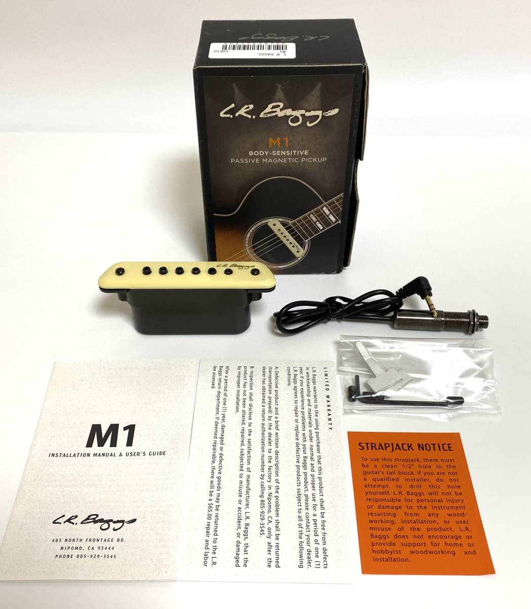 ☆希少☆ L.R.Baggs ( エルアールバックス ) M1 Active Soundhole
