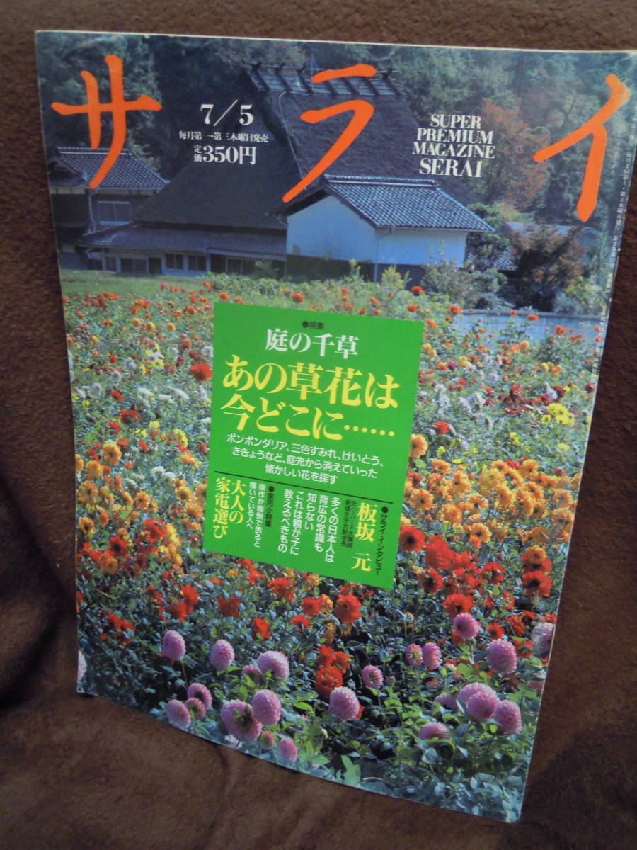 G-24　雑誌　サライ　1990年7月5日　あの草花はいまどこに　板坂元　三色すみれ　けいとう　ききょう　_画像1