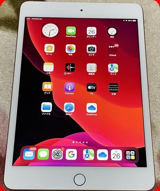 iPad mini 第5世代 Wi-Fiモデル 通電確認&初期化済 品 管理2203121