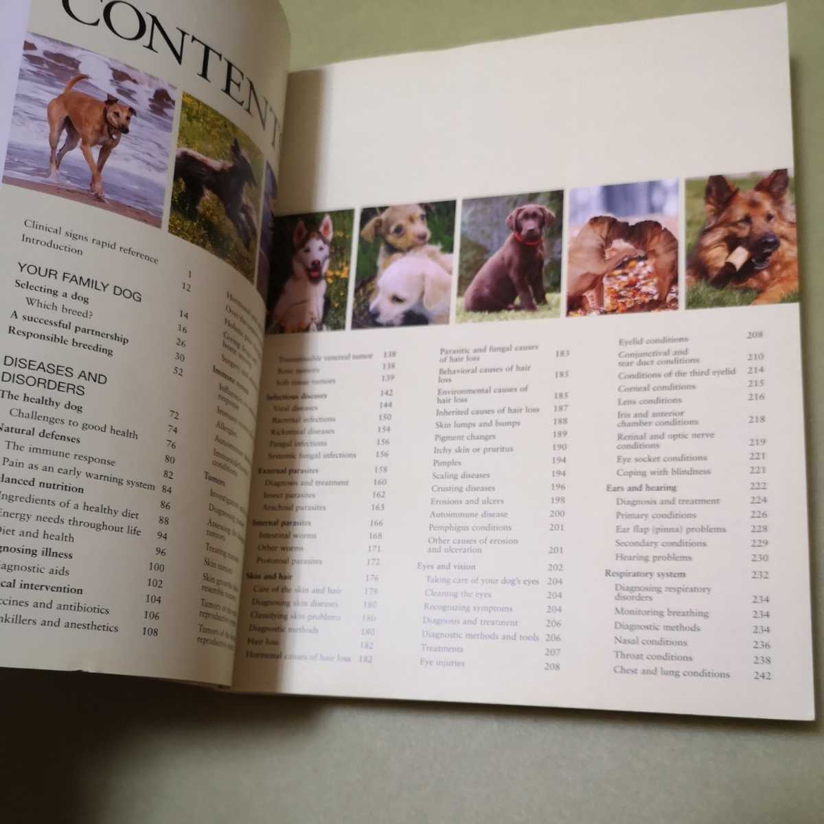 * dog. English book@Caring For Your Dog