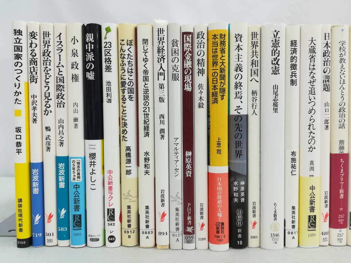 【訳あり/まとめ】政治・経済の新書 65冊セット 国際政治/民主主義/国家/歴史/政治史/経済格差/資本主義/戦後政治史/環境政治【2203-131】_画像2