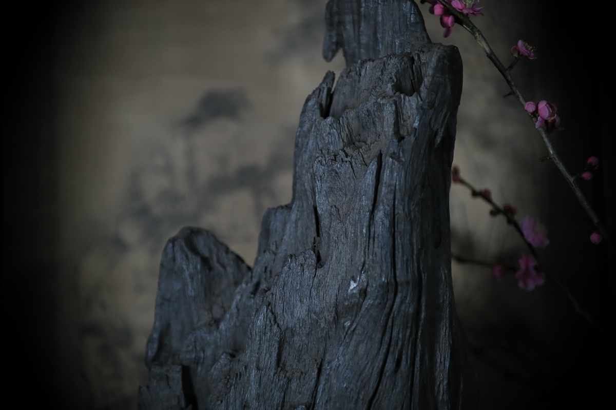 立峰山子老木黒奇楠（８７７４ｇ）（最重要黒奇楠・樹脂化年齢１２８６ 