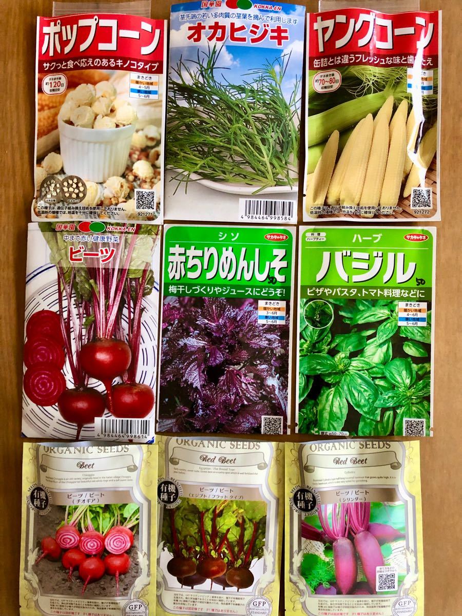 野菜の種子セット　6種類 1点オマケ