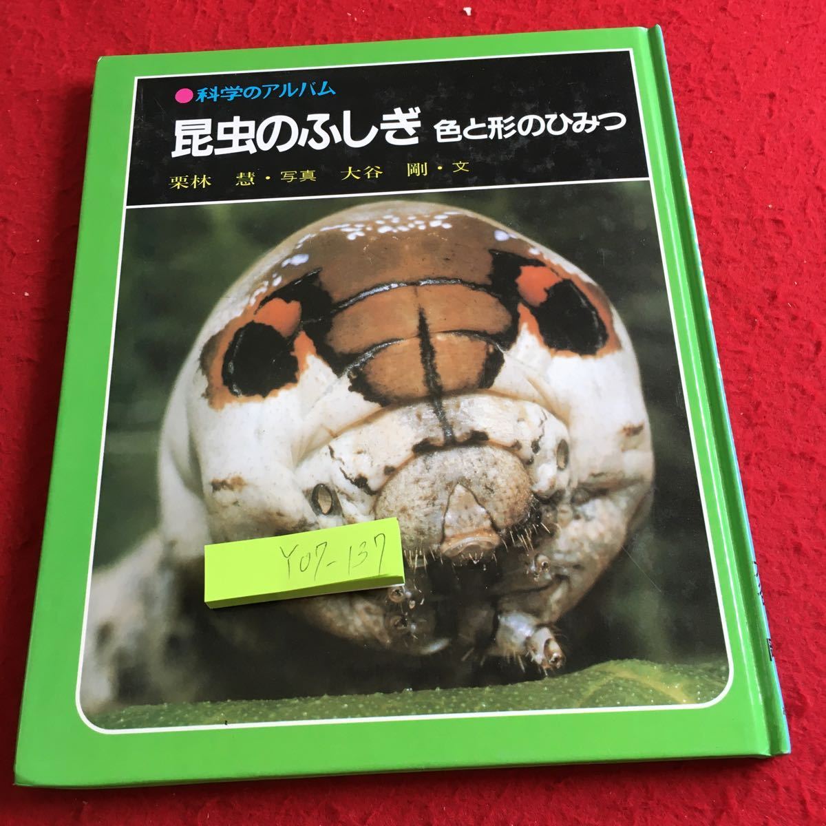 Yahoo!オークション - Y07-137 科学のアルバム86 昆虫のふしぎ