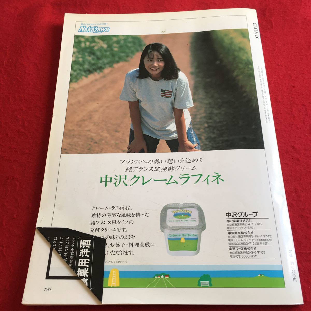 Y09-017 ガトー 1994年発行 5月号 日本洋菓子協会連合会 フランス 全国洋菓子コンクール ヒット商品 ドイツ ニュース 洋菓子店 など_折れ、傷、汚れ有り