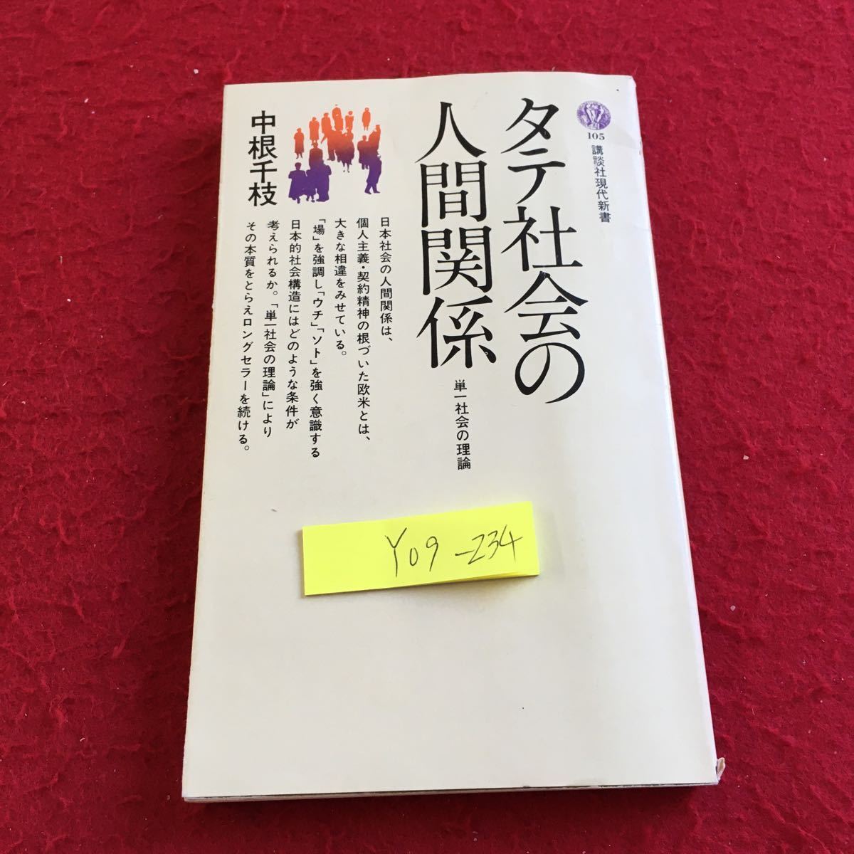 Y09-234 タテ社会の人間関係 単一社会の理論 中根千枝 講談社現代新書 昭和42年発行 書きこみあり 社会構造 資格 場 組織 構造分析 など_傷、汚れ有り