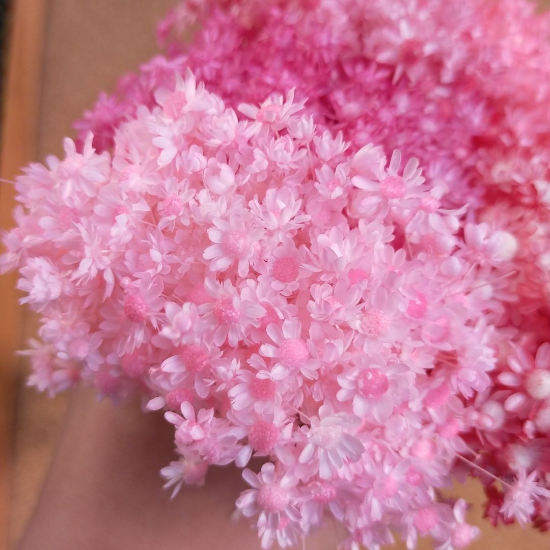ハーバリウムボールペン　レジン アクセサリー 花材セット 気まぐれ素材　ピンクレ