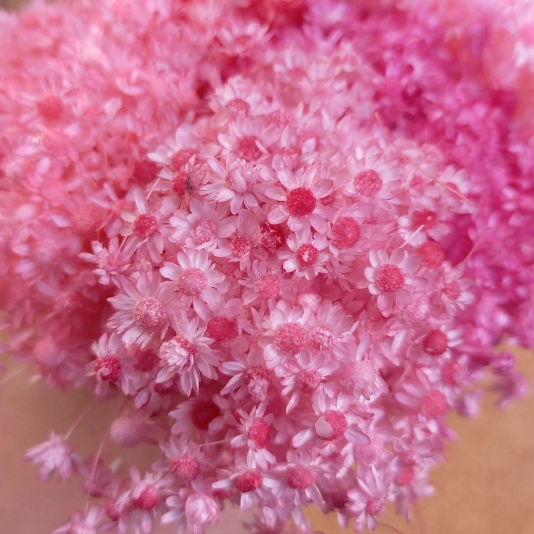 ハーバリウムボールペン　レジン アクセサリー 花材セット 気まぐれ素材　ピンクレ