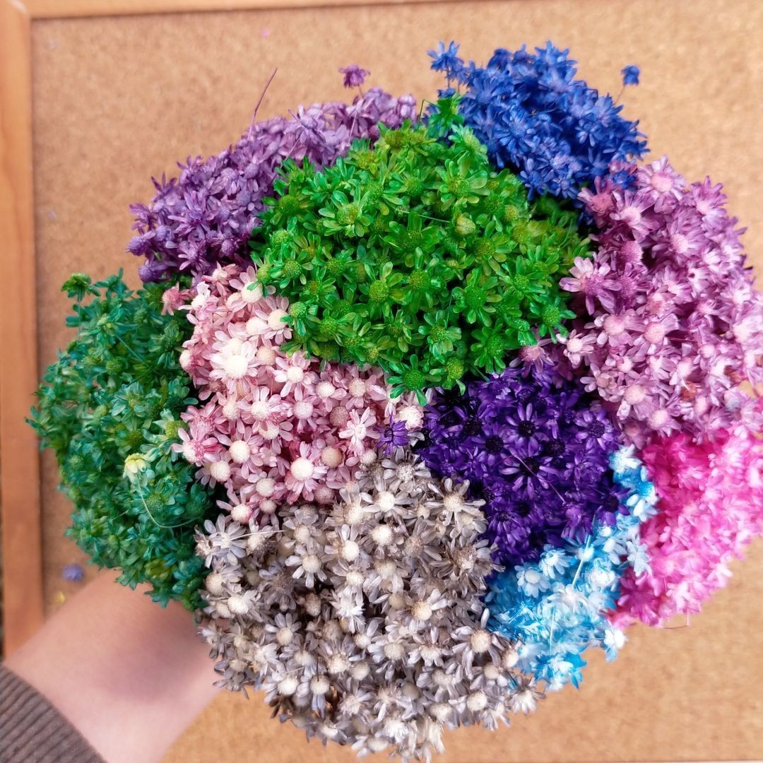 ハーバリウムボールペン　レジン アクセサリー 花材セット 気まぐれ素材　ランダム