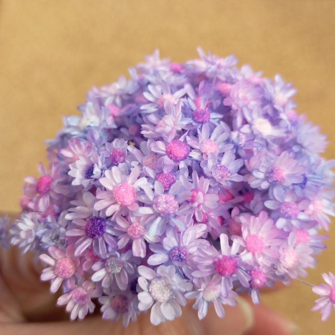 ハーバリウムボールペン　レジン アクセサリー 花材セット 気まぐれ素材　ピンラベ