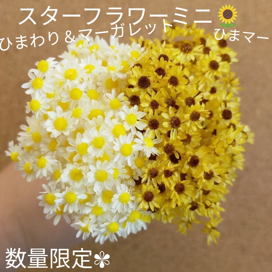 ハーバリウムボールペン　レジン アクセサリー 花材セット 気まぐれ素材　ひまマー