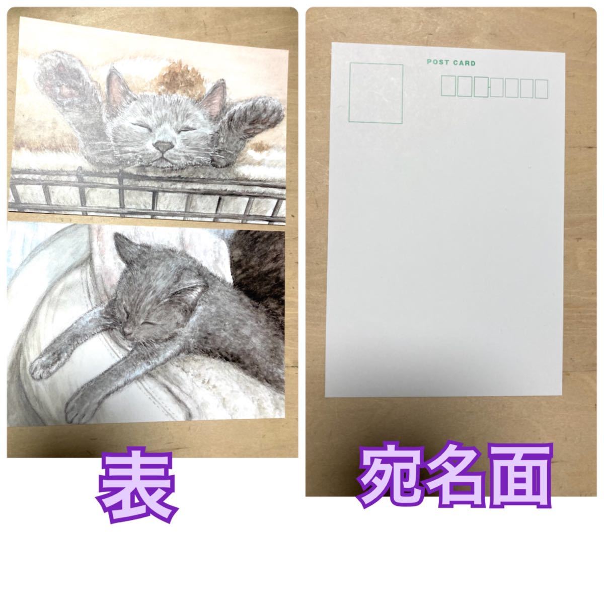 オリジナル 手描きイラスト ポストカード　3枚セット 猫 複製 ブリティッシュショートヘア　水彩 【あおきしずか】_画像3