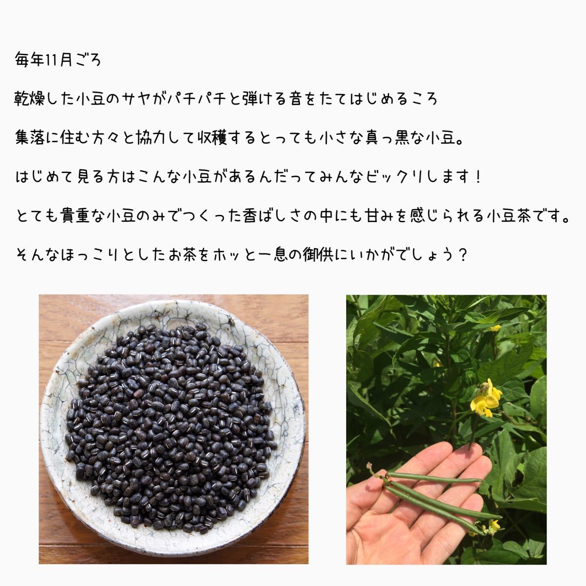 【天然黒小豆100%】石川県産 ヤブツルアズキの小豆茶 70g×2 ★14リットル分★