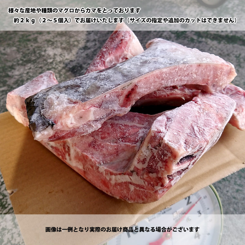 まぐろの貴重品 マグロ カマ 約 2kg (2~5個入) さんきん1円_画像2