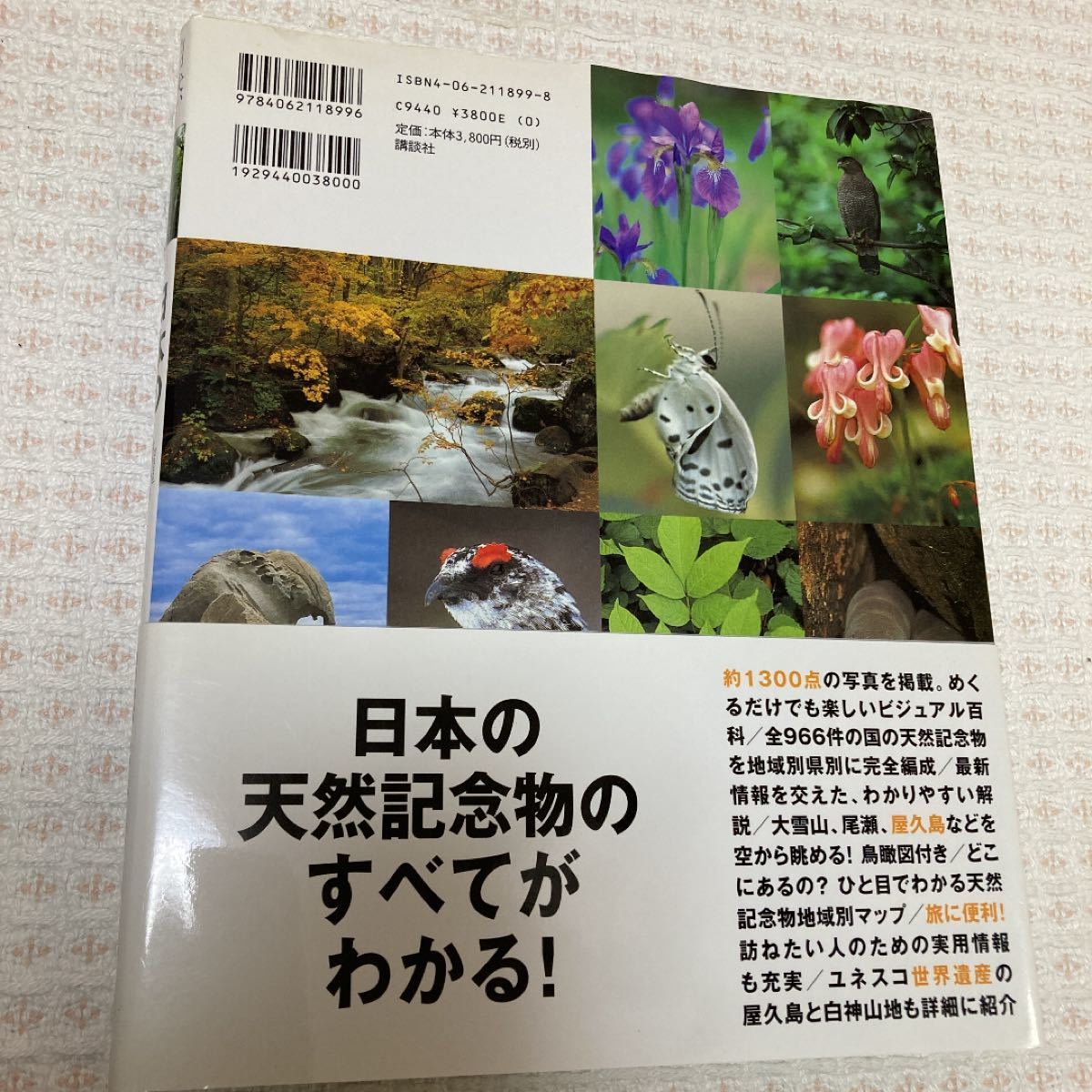 日本の天然記念物 : 自然紀行　講談社　初版