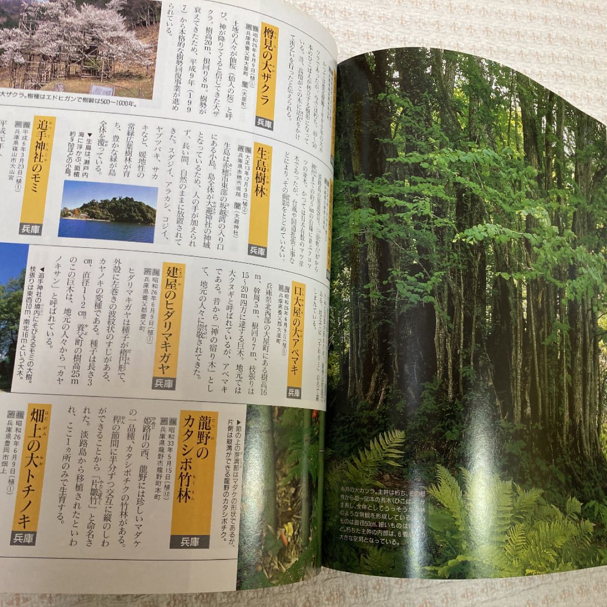 日本の天然記念物 : 自然紀行　講談社　初版