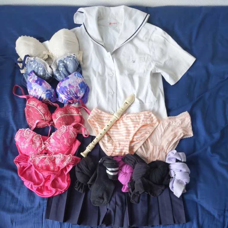ECO 中学生整理品 学生服 ブラ ショーツ 気質アップ scanlift.no