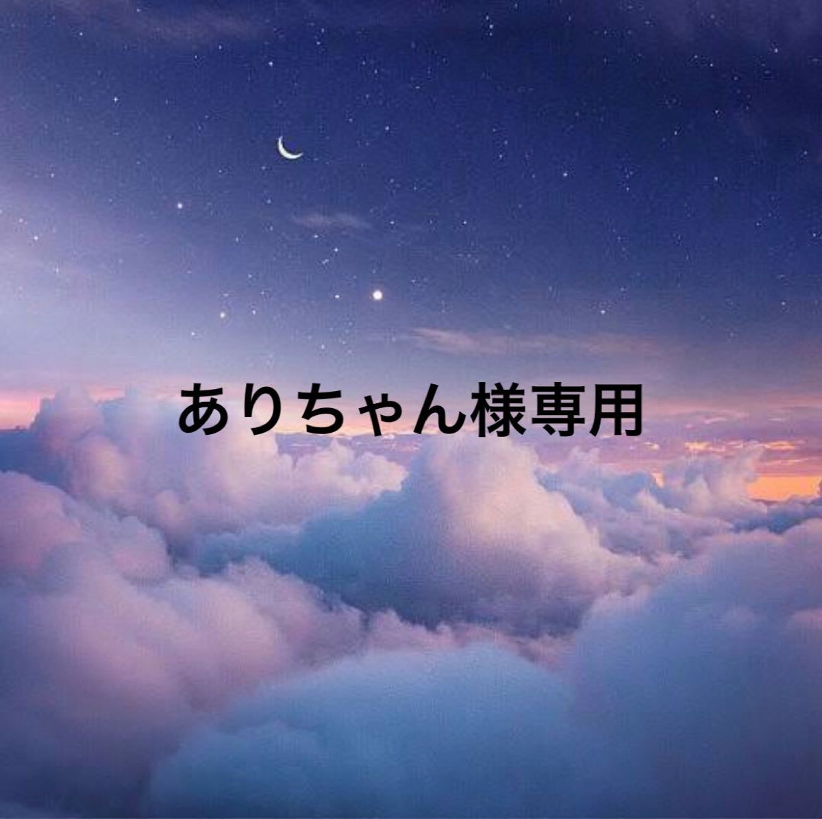 ありちゃん様専用|Yahoo!フリマ(旧PayPayフリマ)