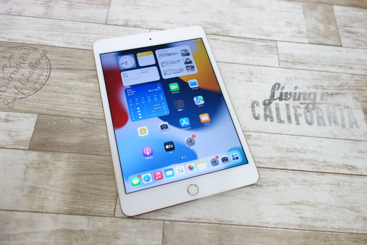 Softbank SIMロック解除済 iPad mini 4 Wi-Fi+Cellular 16GB MK712J/A SIMフリー ゴールド 第4世代 www.onedamoveis.com.br